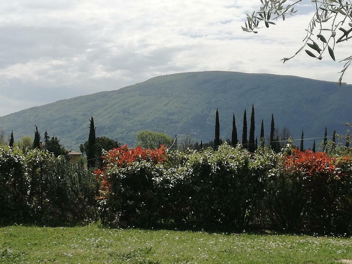 Colleparadiso Otel Assisi Dış mekan fotoğraf